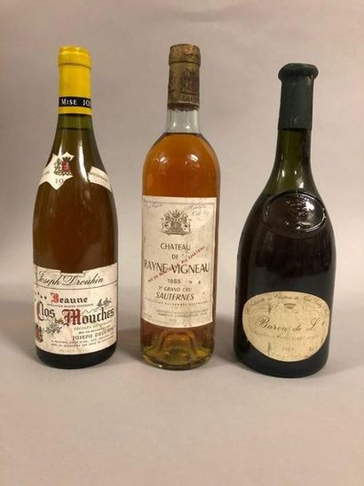 Ensemble de 3 bouteilles 1 chateau de Rayne Vigneau 1985 (es, TLB) 1 POUILLY-SUR-LOIRE...