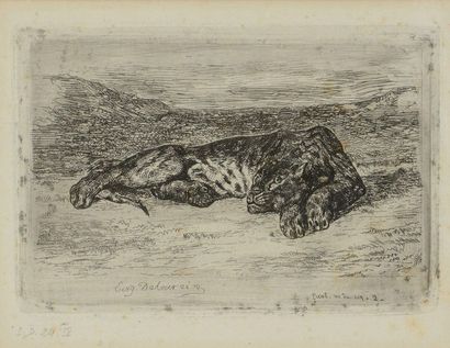 Eugène DELACROIX (1798 - 1863). Tigre couché...