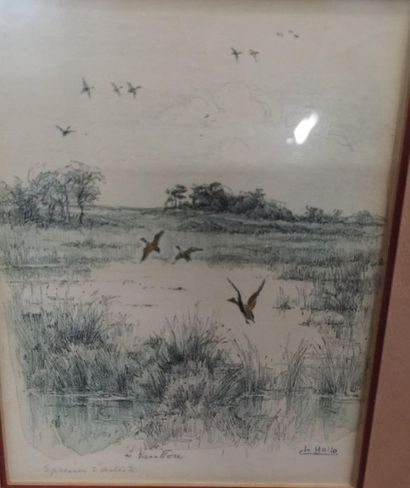 null Charles Jean HALLO
Woodcock, Ducks, Partridge
4 etchings, artist's proofs in...