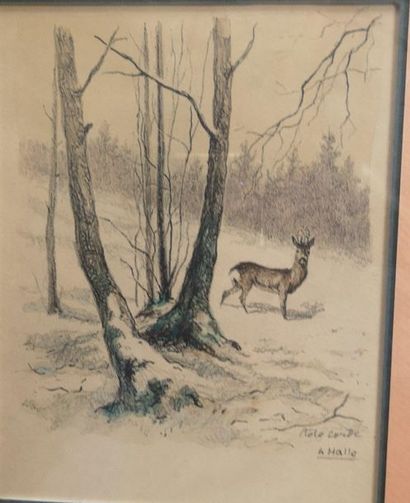 null Charles Jean HALLO
Animals of venery and deer
hunting Set of 9 colour engravings,...