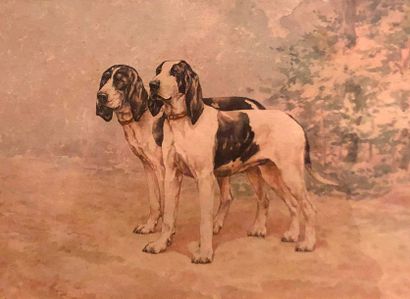 null Frédéric MASSON
Deux chiens de meute
Aquarelle sur papier signée et datée 1900...