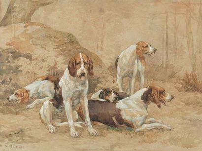 null Paul TAVERNIER (1852-1943)
Five dogs at rest
Watercolour on paper signed lower...