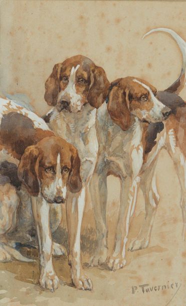 null Paul TAVERNIER (1852-1943)
Trois chiens de meute
Aquarelle sur papier signée...