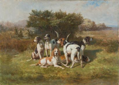 null Jules Bertrand GELIBERT (1834-1916)
Meute de chiens Français tricolores au repos
Huile...