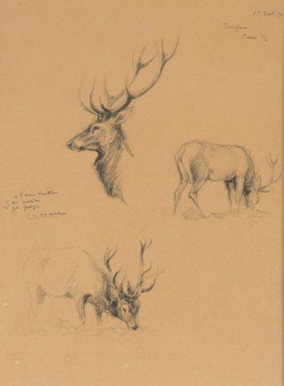 null Charles Jean HALLO (1882-1969)
Étude de cerf
Pierre noire sur papier dédicacée...