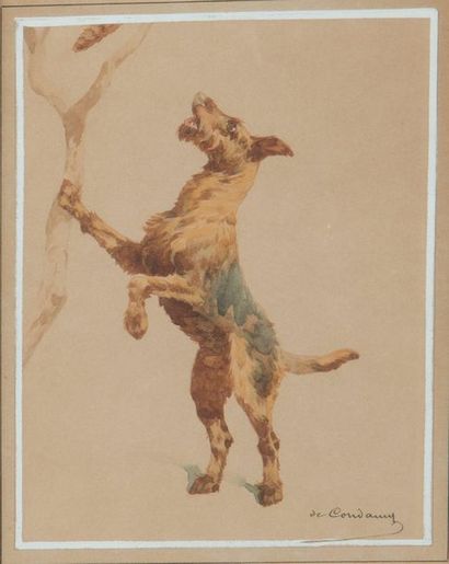 null Charles de CONDAMY (1847-1913)
Welsh Terrier et Chien courant
Deux aquarelles...