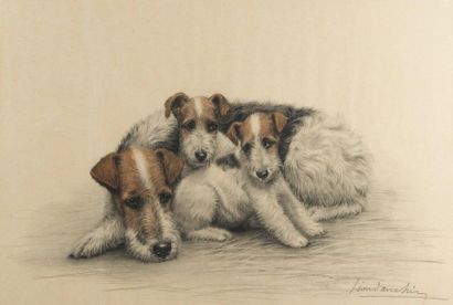 null Léon DANCHIN (1887-1938)
Famille de fox terrier à poil dur
Pierre noire et aquarelle...