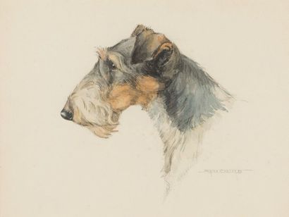 null Jacques CARTIER (1907-2001) Hard-haired
fox terrier
head Watercolor on paper...