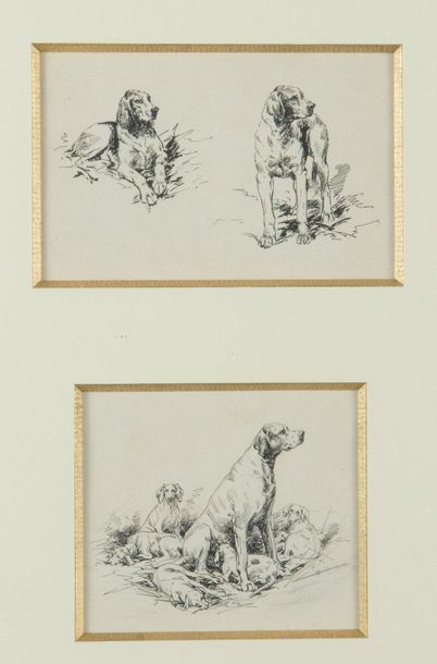 null Georges Frédéric ROTIG (1873-1961) attributed to
Studies of dogs and puppies
Ink...