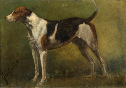 null Late 19th century French school
Portrait of fox hound
Oil on panel titled Gerfault...