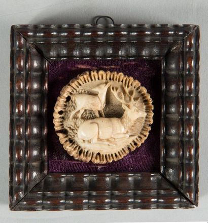 null Deer and doe Deer antler
base carved in a small wooden frame.
D : 5 cm appr...