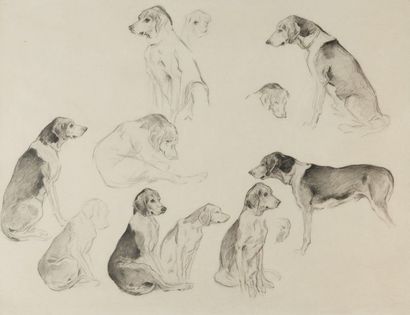 null Xavier de PORET (1897-1975)
Étude de chiens courant
Fusain double face sur papier....