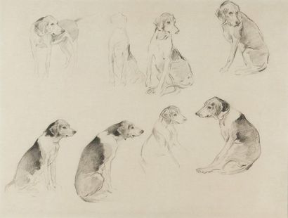 null Xavier de PORET (1897-1975)
Étude de chiens courant
Fusain double face sur papier....