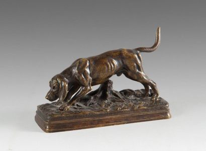 null Alfred DUBUCAND (1828-1894)
Chien sur la trace
Bronze à patine brune. Signature...