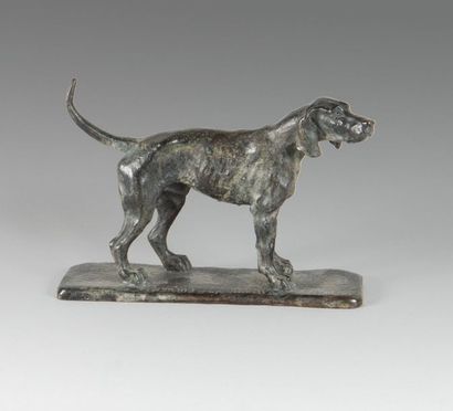 null Patrick ALLAIN (1953) Crew
dog Normand Piqu'Hardi
Bronze with dark brown patina...