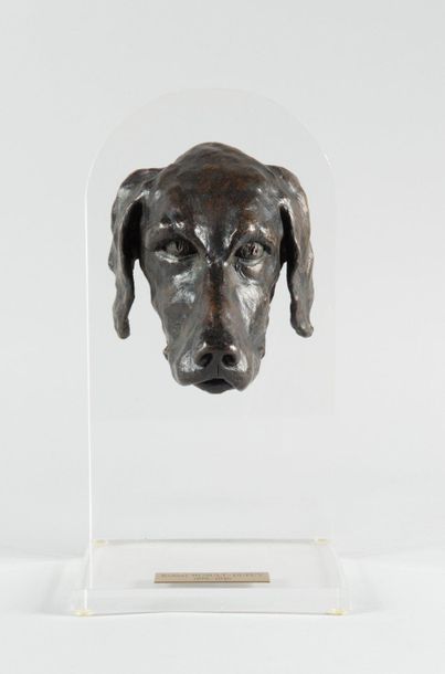 null Robert HUAULT-DUPUY (1876-1946)
Bronze dog
head with brown patina on a plexiglass...