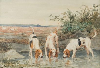 null Charles Olivier de PENNE (1831-1897)
Trois chiens s’abreuvant
Aquarelle sur...