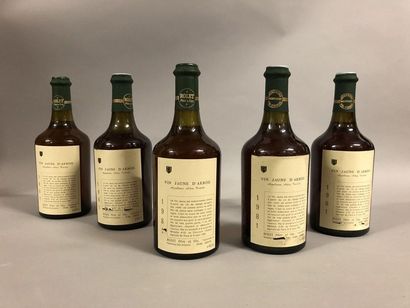 null 5 bottles YELLOW WINE OF ARBOIS, Rolet 1981 (4 ela, 1 LB) 