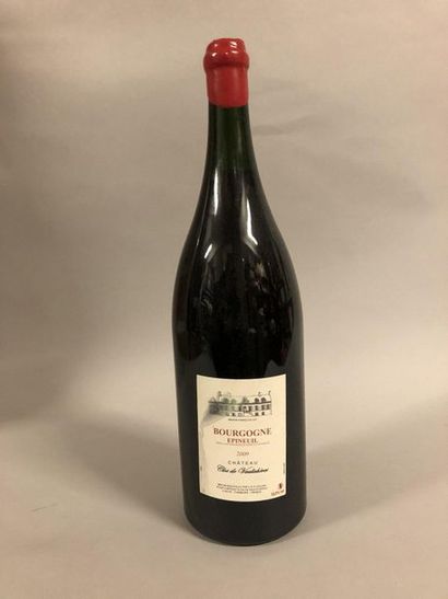 null 1 jéroboam BOURGOGNE ÉPINEUIL, Clos de Vaulichères 2009 