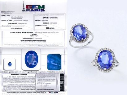 null 									
Délicate bague marquise en platine 850 millièmes ornée d'un saphir...