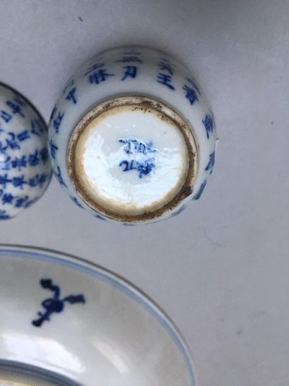 null CHINE et VIETNAM

Coupe circulaire en porcelaine décorée en bleu sous couverte...
