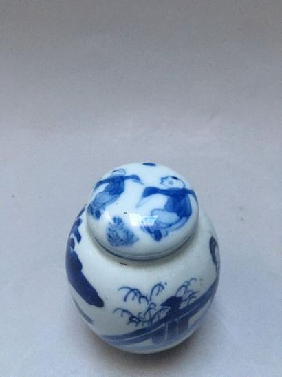 null CHINE 

Petit pot ovoïde couvert en porcelaine décoré en bleu sous couverte...