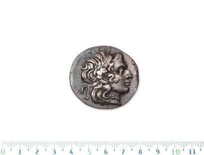 null THRACE, Lysimachus (323-281 B.C.)
Tetradrachma Byzantium. 15,71 g.
Head of Alexander...