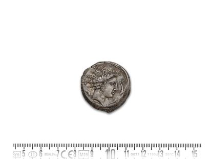 null SICILY, Lilybia (330-305 B.C.)
Tetradrachma. 17.01 g.
Head of Arethusa on the...