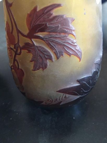 E. GALLE Vase portant signature GALLE

H:21

LOT 41
Vendu en l'état