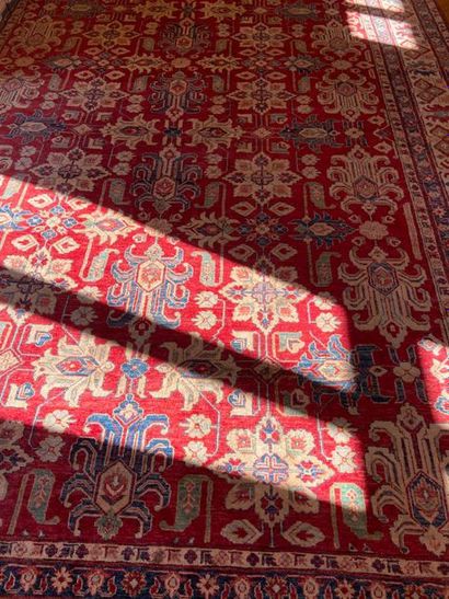 null Carpet with stylized plant decoration

Modern

4.50 m x 3 m 
LOT IN STORAGE:...