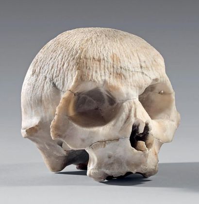 null Realistically carved white Carrara marble skull; the surface of the skull cap...