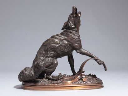 null Ferdinand PAUTROT (1832-1874). Loup pris au piège. Bronze à patine brune nuancée...