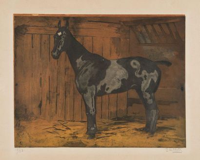 null Joseph Porphyre PINCHON (1871 – 1953). Cheval au box. Très rare gravure en couleurs...