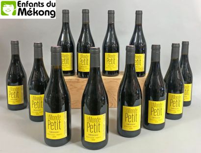 null 12 bouteilles Hervé Cormier, Le Monde est Petit, Grolleau, vin de France 20...