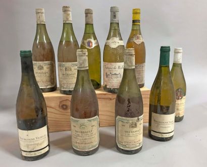 null 10 bouteilles BOURGOGNE 
 (ets, 1 Puligny Les Pucelles Drouhin 1984, 4 Meursault...