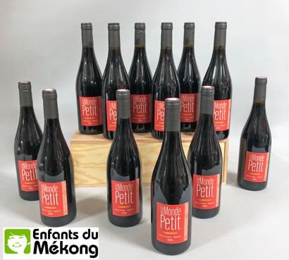 null 12 bouteilles Hervé Cormier, Le Monde est Petit, Cabernet, vin de France 20...
