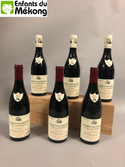 null 6 bouteilles Jean-Michel Guillon & Fils, Gevrey-Chambertin, "Les Champonnets...