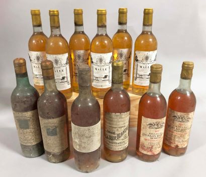 null 12 bouteilles SAUTERNES 
 (Sigalas-Rabaud 75, Tour Blanche 70, Rieussec 62,...