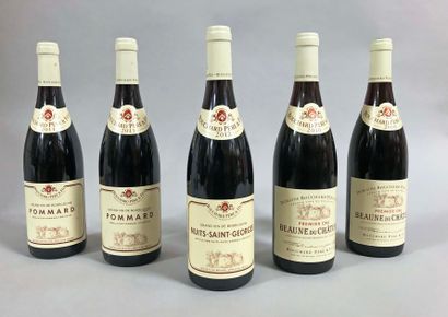 null 5 bouteilles BOURGOGNE 
DIVERS 
Bouchard P&F 
 (2 Pommard 2011, 1 Nuits 2012,...