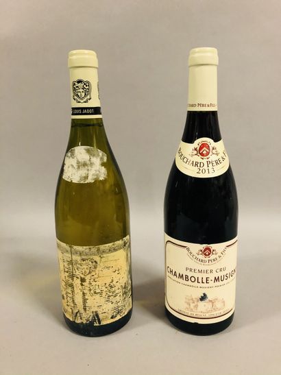 null 2 bouteilles BOURGOGNE 
DIVERS 
(1 L. Jadot Meursault 1999, eta; 1 Bouchard...