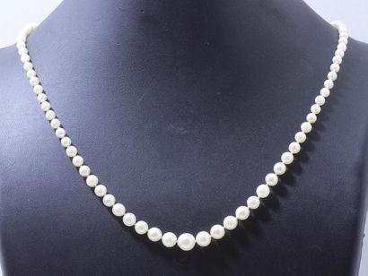 Necklace made of a drop of cultured pearls...