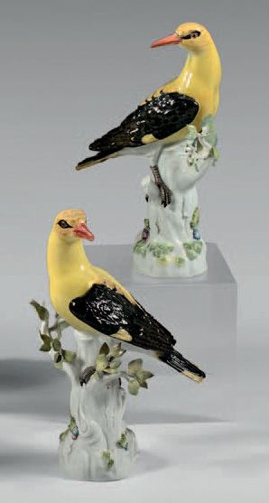 MEISSEN Paire de figurines en porcelaine représentant des loriots d'Europe à plumage...