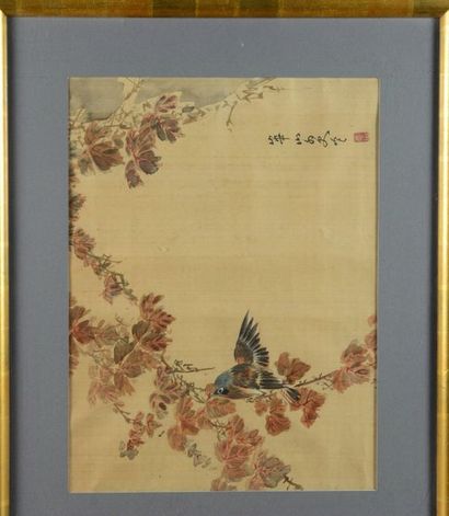 null A bird on a branch
Silk painting.
WATANABE KAZAN (apocryphal). 
 42 x 32 cm...