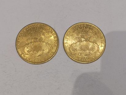 null 
2 pièces de 20 dollars or datées 1904 et 1905


Frais 15 % HT soit 18 % TT...