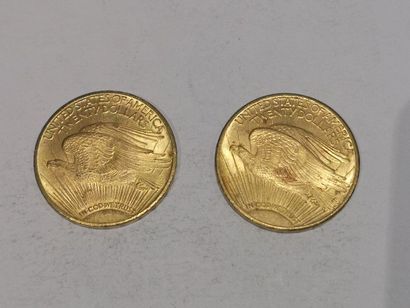 null 
2 pièces de 20 dollars or datées 1924 et 1925


Frais 15 % HT soit 18 % TT...