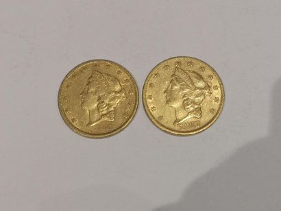 null 
2 pièces de 20 dollars or datées 1861 et 1866


Frais 15 % HT soit 18 % TT...