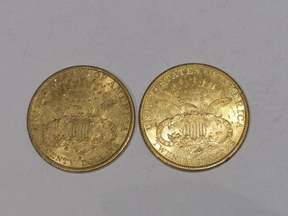 null 
2 pièces de 20 dollars or datées 1892 et 1893


Frais 15 % HT soit 18 % TT...