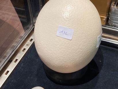 null 
Batch including hard stone eggs and an ostrich egg (sold as is)
