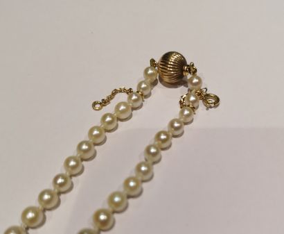 null Collier de perles de culture, fermoir boule en or 750°/°°,

Poids brut : 22...