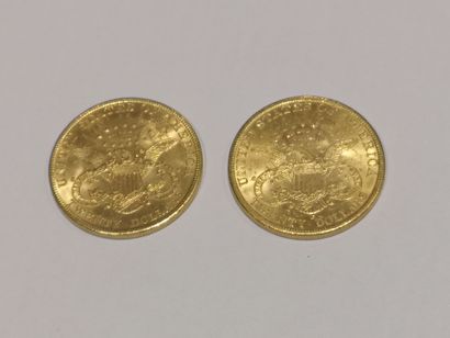 null 2 pièces de 20 dollars or datées 1896 et 1904

Frais de 17 % HT soit 20,40 %...